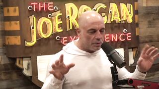 Joe Rogan Experience #2180 - Jordan Peterson