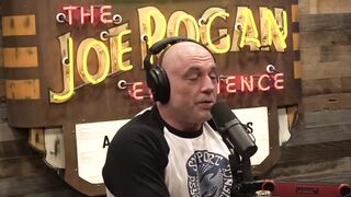 Joe Rogan Experience #2179 - Bridget Phetasy