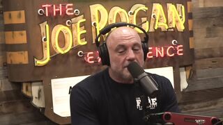 Joe Rogan Experience #2178 - Sam Morril