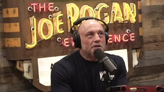 Joe Rogan Experience #2178 - Sam Morril