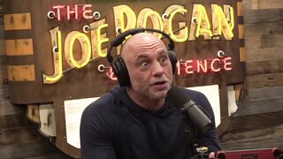 Joe Rogan Experience #2177 - Chris Robinson