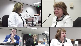 2016 (clip) Texas Med Bd. vs. Dr. Burzynski - Mary Michaels testimony May 6, 2016