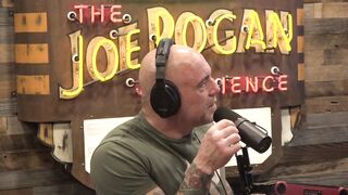 Joe Rogan Experience #2202 - Tom Segura