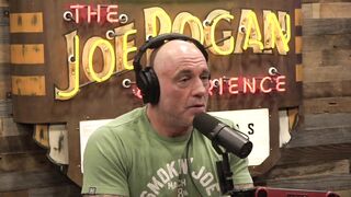 Joe Rogan Experience #2204 - Matt Walsh