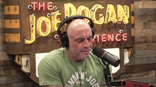 Joe Rogan Experience #2204 - Matt Walsh