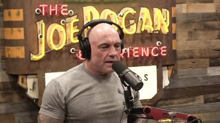 Joe Rogan Experience #2224 - Tim Dillon